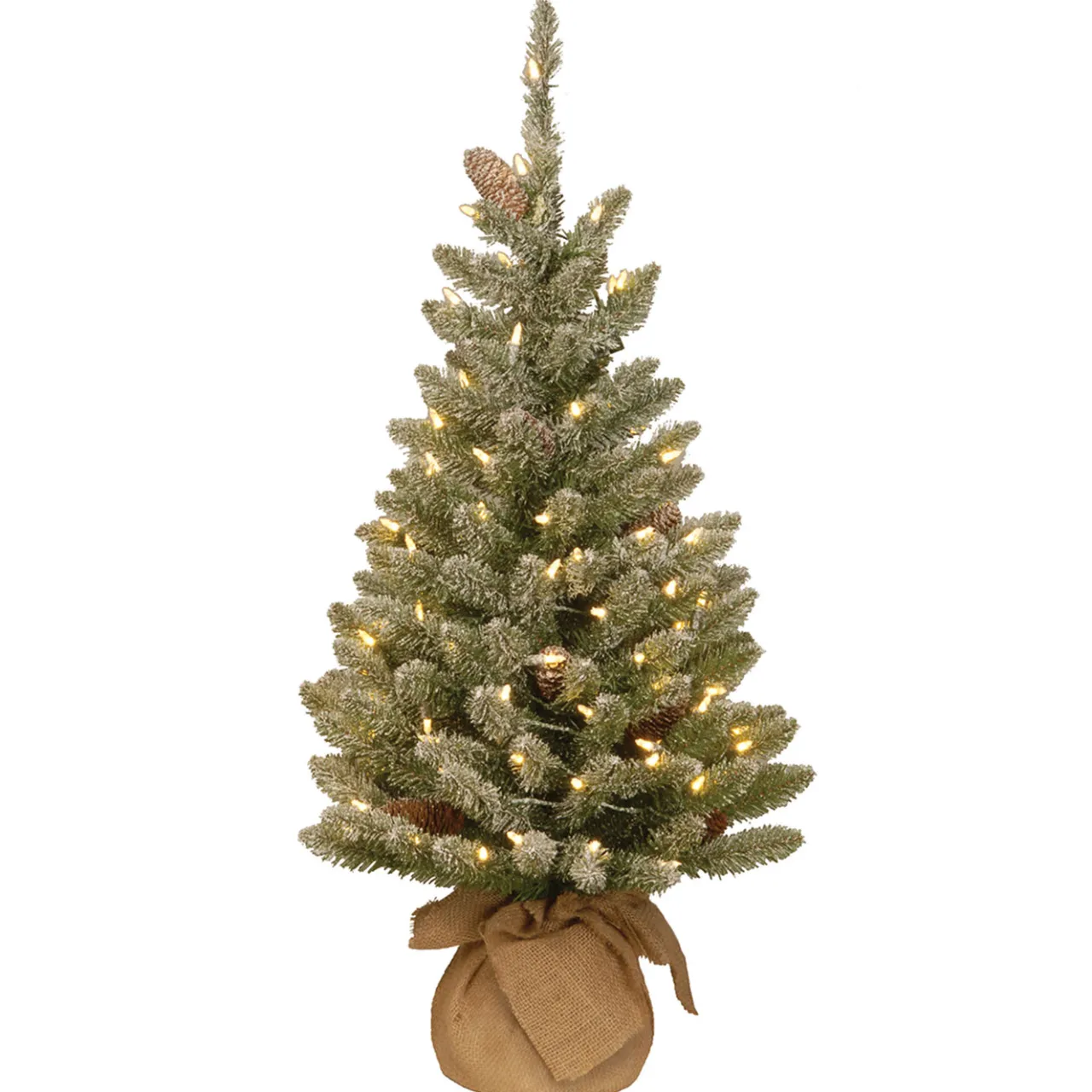 New National Tree Company 3 ft. Pre-Lit Snowy Concolor Fir Tree with LED Lights
