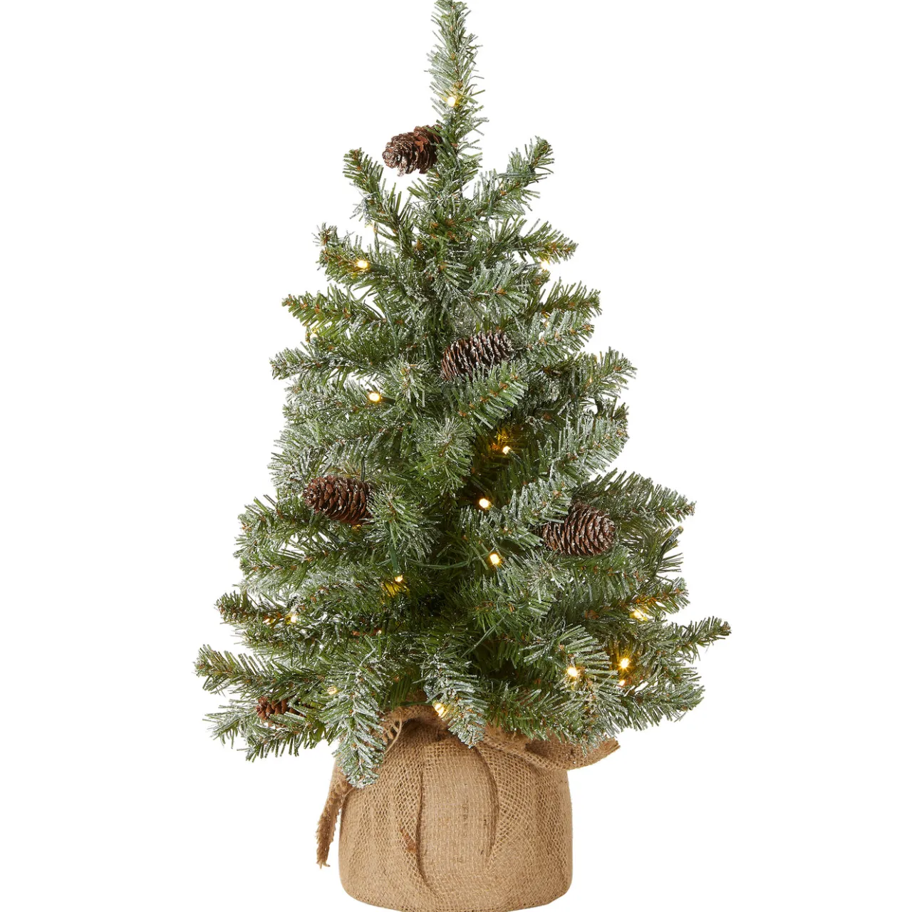 Outlet National Tree Company 2 ft. Pre-Lit Snowy Concolor Fir Tree with LED Lights