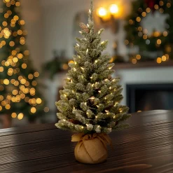Outlet National Tree Company 2 ft. Pre-Lit Snowy Concolor Fir Tree with LED Lights
