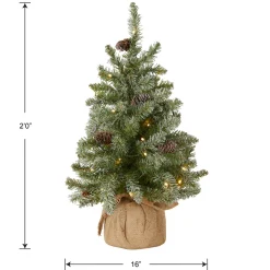 Outlet National Tree Company 2 ft. Pre-Lit Snowy Concolor Fir Tree with LED Lights