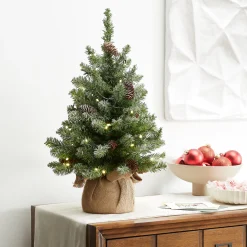 Outlet National Tree Company 2 ft. Pre-Lit Snowy Concolor Fir Tree with LED Lights