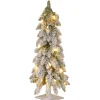 Outlet National Tree Company 2 ft. Pre-Lit Snowy Downswept Forest Tree with Clear Lights