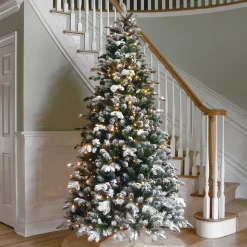 Clearance National Tree Company 9 ft. Pre-Lit Snowy Everest Fir Medium Tree with Clear Lights