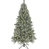 National Tree Company 6.5 ft. Pre-Lit Snowy Harwich Hinged Tree with PowerConnect Warm White LED Lights