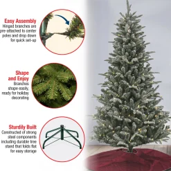 Sale National Tree Company 6 ft. Pre-Lit Snowy Libby Fir Tree with LED Lights