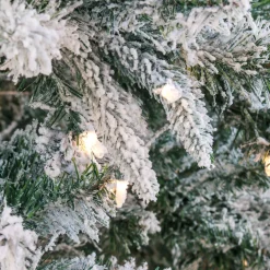 Clearance National Tree Company 6.5 ft. Pre-Lit Snowy Mixed Pine Tree with Clear Lights