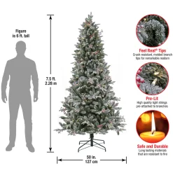 Outlet National Tree Company 7.5 ft. Pre-Lit Snowy Poechmann Fir Tree with LED Lights