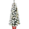 Hot National Tree Company 5 ft. Pre-Lit Snowy Pogue Pine Slim Tree with LED Lights