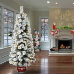 Hot National Tree Company 5 ft. Pre-Lit Snowy Pogue Pine Slim Tree with LED Lights