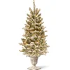 Best National Tree Company 4 ft. Pre-Lit Snowy Sheffield Spruce Tree with Twinkly LED Lights