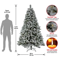 Discount National Tree Company 7.5 ft. Pre-Lit Snowy Silver Hill Pine Tree with LED Lights
