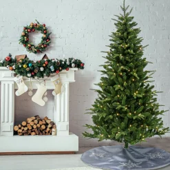 Clearance National Tree Company 6 ft. Pre-Lit Whatcom Pine Tree with LED Lights
