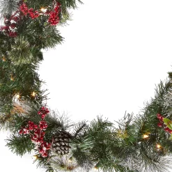 Hot National Tree Company 9 ft. Pre-Lit Wintry Berry Garland with Clear Lights, Plug-In