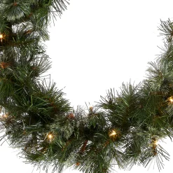 Outlet National Tree Company 9 ft. Pre-Lit Wispy Willow Garland with Clear Lights