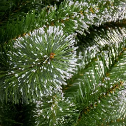 Discount National Tree Company 6 ft. Snowy Sierra Spruce Tree