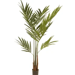 Sale National Tree Company 4 ft. Spring Kentia Palm Potted Tree with Leaves, Simulated Soil in a Black Pot