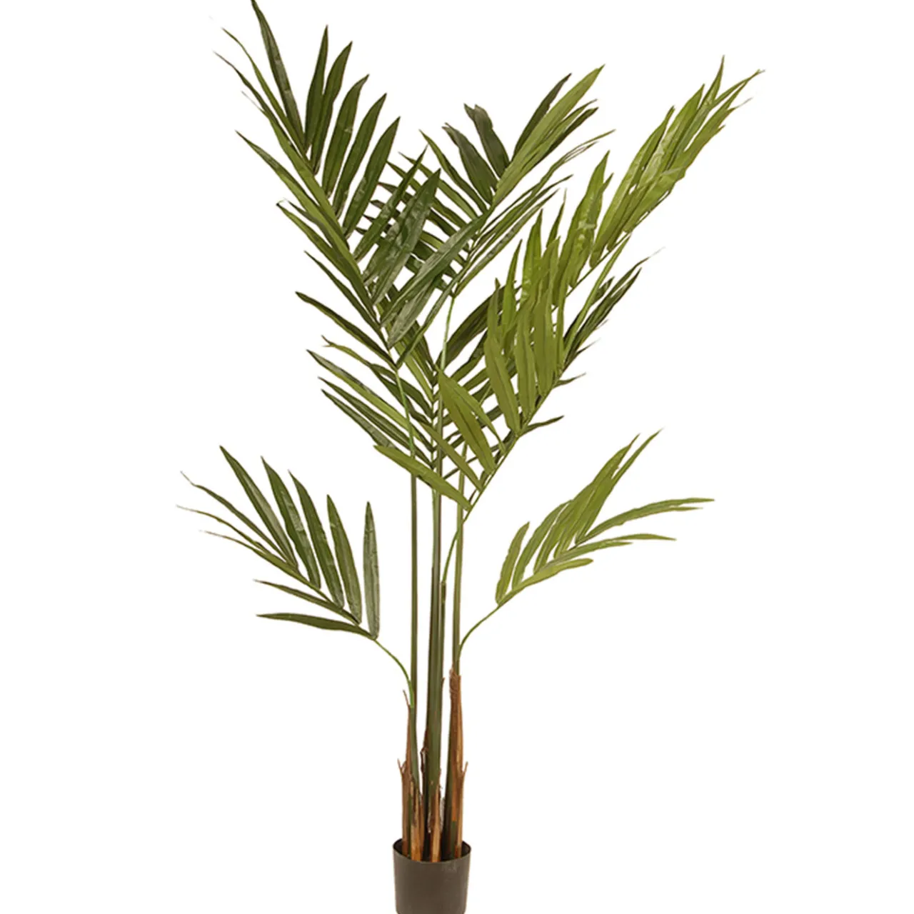 Sale National Tree Company 4 ft. Spring Kentia Palm Potted Tree with Leaves, Simulated Soil in a Black Pot