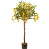 Sale National Tree Company 4 ft. Spring Wisteria Potted Tree with Yellow Flower Blooms in a Black Pot Base