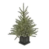 Best National Tree Company 4 ft.Pre-Lit Aberdeen Blue Spruce Tree