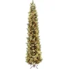 Best National Tree Company 12 ft.Pre-Lit Carolina Pine Slim Tree with Clear Lights