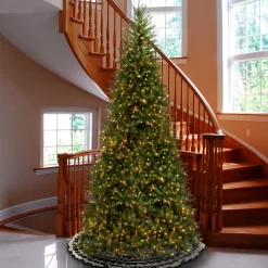 Best National Tree Company 10 ft.Pre-Lit Dunhill Fir Slim Tree with Clear Lights