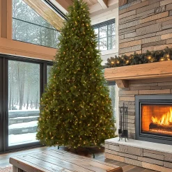 Hot National Tree Company 10 ft.Pre-Lit Dunhill Fir Tree with PowerConnect Dual Color LED Lights