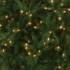 Clearance National Tree Company 10 ft.Pre-Lit Kingswood Fir Pencil Slim Tree with Clear Lights