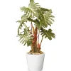 Sale National Tree Company 21 in. Spring Potted Philodendron Plant Decoration Garden Accents in Ceramic Pot