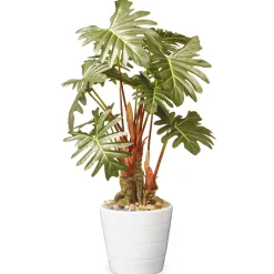 Sale National Tree Company 21 in. Spring Potted Philodendron Plant Decoration Garden Accents in Ceramic Pot
