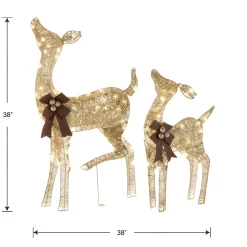 Discount National Tree Company 38 in. and 28 in. Pre-Lit Fawn with Doe Decoration