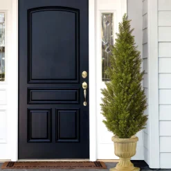 Online National Tree Company 60 in. Arborvitae Topiary Tree in Decorative Urn