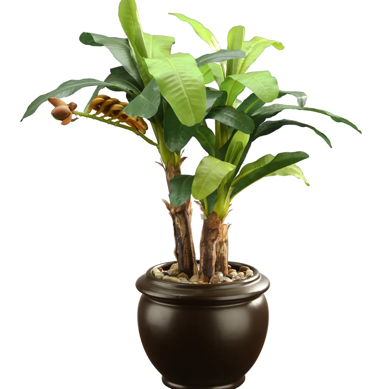 Hot National Tree Company 18 in. Banana Plant