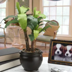Hot National Tree Company 18 in. Banana Plant