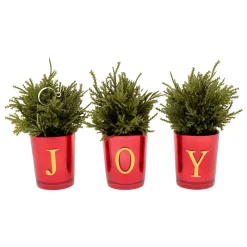 National Tree Company 8 in. Christmas Joy Tabletop Card Holder Votive 3 Piece