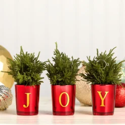 National Tree Company 8 in. Christmas Joy Tabletop Card Holder Votive 3 Piece