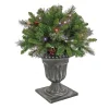 National Tree Company 24 in. Crestwood Spruce Porch Bush with Twinkly LED Lights