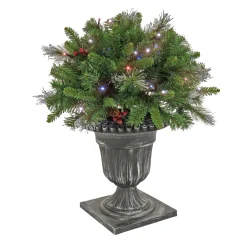 National Tree Company 24 in. Crestwood Spruce Porch Bush with Twinkly LED Lights