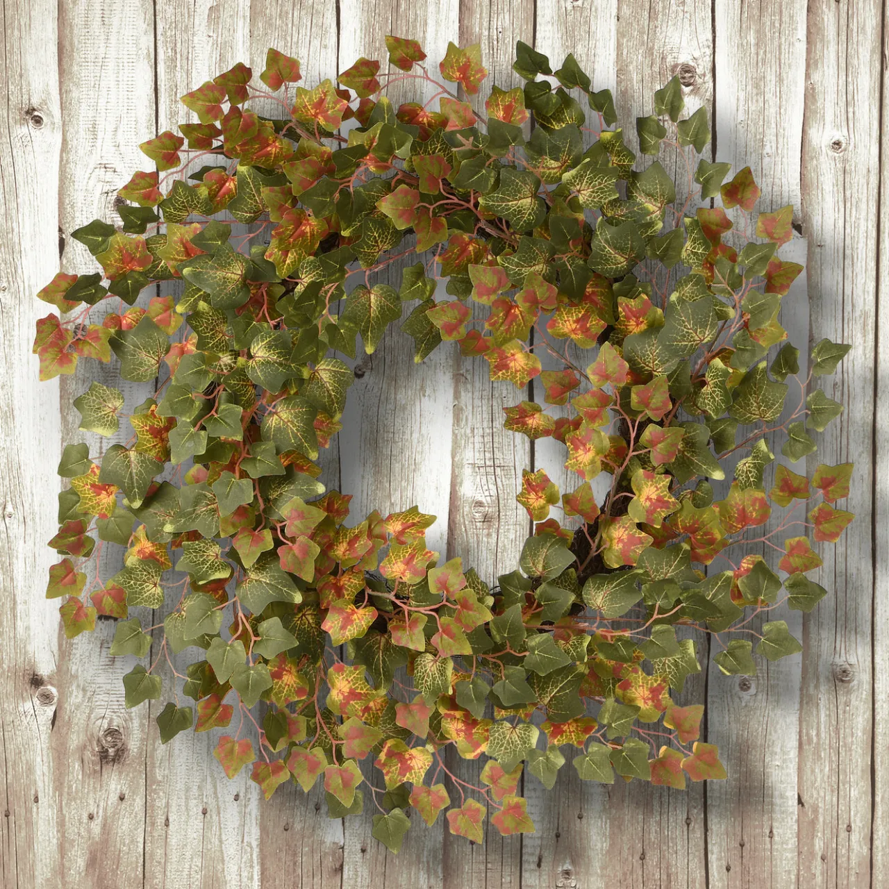 Sale National Tree Company 24 in. Fall Wreath with Ivy