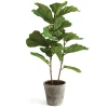 Clearance National Tree Company 43 in. Fiddle Leaf Fig Topiary Tree