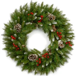 Best National Tree Company 24 in. Frosted Berry Wreath