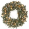 National Tree Company 24 in. Glittery Bristle Pine Wreath with Clear Lights
