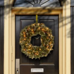 National Tree Company 24 in. Glittery Bristle Pine Wreath with Clear Lights