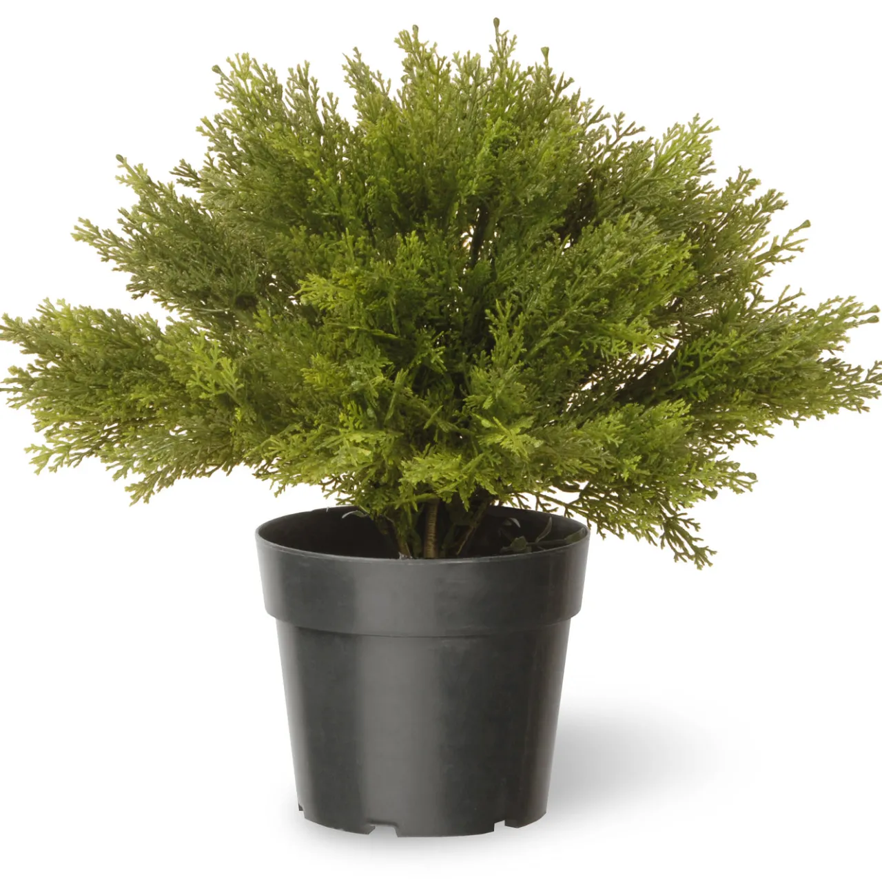 Clearance National Tree Company 15 in. Globe Cedar Tree