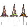 Discount National Tree Company 23 in. Halloween Pre-Lit Black Witchs Hat Garden Stakes
