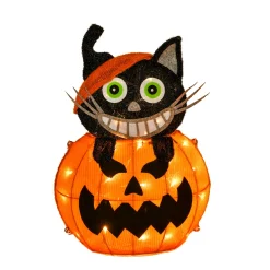 Online National Tree Company 23 in. Halloween Pre-Lit Pumpkin and Black Cat Lighted Sign Decoration with LED Lights