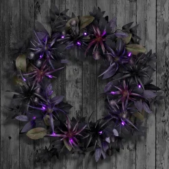 Discount National Tree Company 24 in. Halloween Scare in the Air Wreath with LED Lights