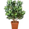 Online National Tree Company 30 in. Hosta Topiary Plant in Brown Round Growers Pot