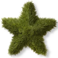 Hot National Tree Company 36 in. Juniper Star Wreath