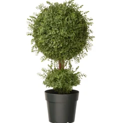 Sale National Tree Company 30 in. Mini Tea Leaf 1 Ball in Green Round Growers Pot