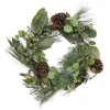National Tree Company 24 in. Pine Berry Cone Plastic Wreath